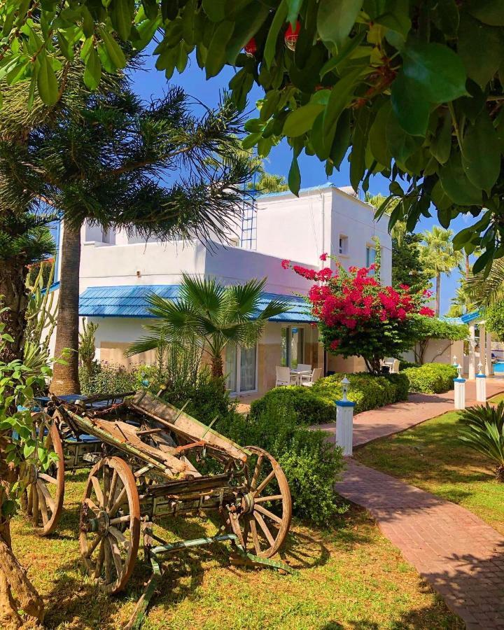 Hotel Pine Bay Club & Cakistes Breakfast Restaurant Next To Popular Kervansaray Beach (Adults Only) 凯里尼亚 外观 照片